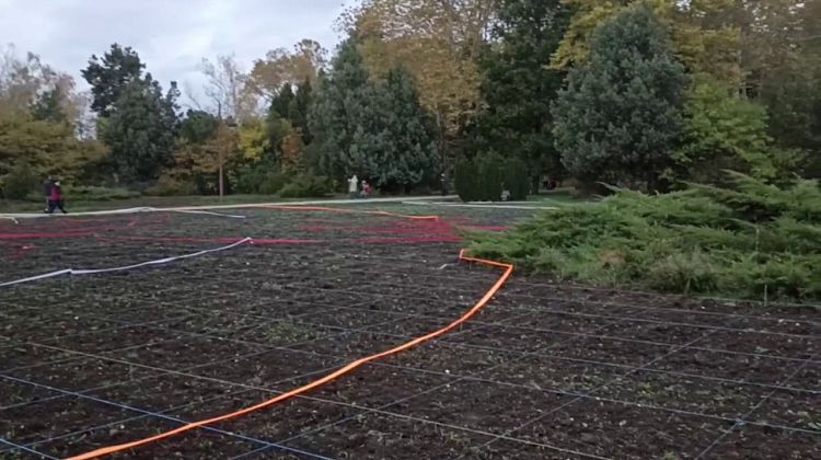 Краснодар готовится стать тюльпановой столицей с осени: в Ботаническом саду кипят работы (фотоэксклюзив)  Краснодар готовится стать тюльпановой столицей с осени: в Ботаническом саду кипят работы (фотоэксклюзив)