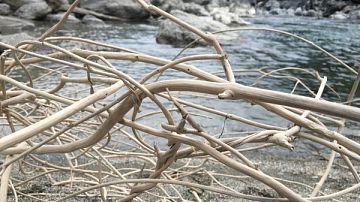 ���! ����� �������� ����������� �� ������-����: ����� ����������� ������ ���������� � ������ ���� 