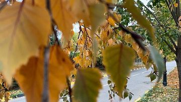 В Краснодаре ожидается теплая и солнечная погода