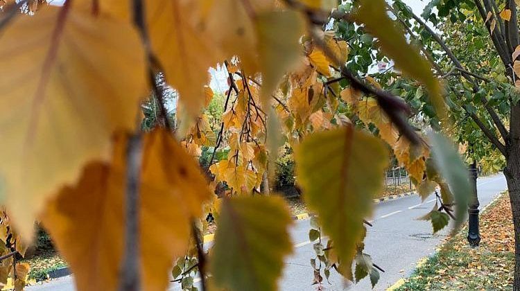 В Краснодаре ожидается теплая и солнечная погода  В Краснодаре ожидается теплая и солнечная погода