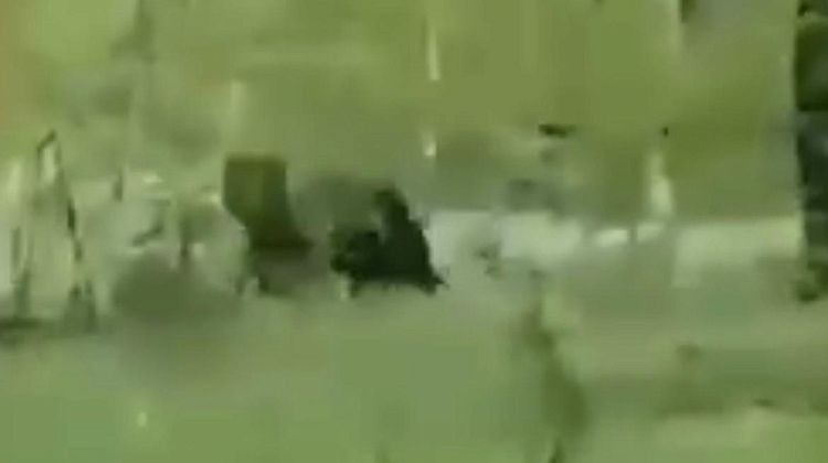       :      