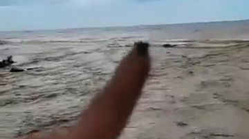 -        
