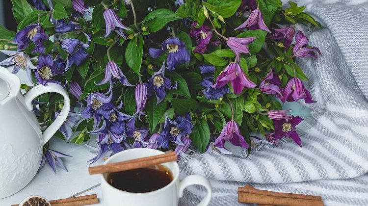 �� ������ ����� ��� �������: ������ ������� ����������� ����� � ����� ������