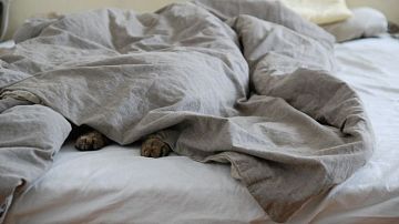 ��� �������� �������� ���: ������������ ����������� ��� ���, ��� ����� ���������� � ������