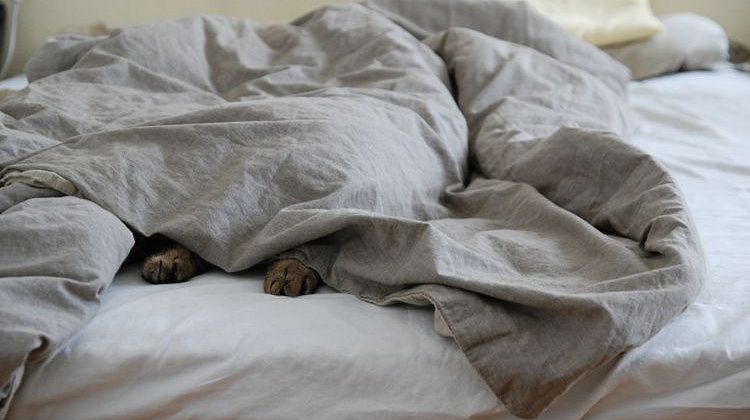 ��� �������� �������� ���: ������������ ����������� ��� ���, ��� ����� ���������� � ������