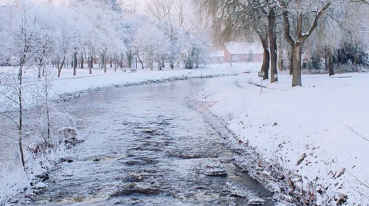 �� ������ ���� ���! � ����: ���������� ��������������, �������� ����������� ������