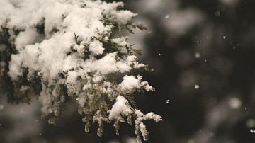 ������� ��������� ������ ������ � ���� �� �����������