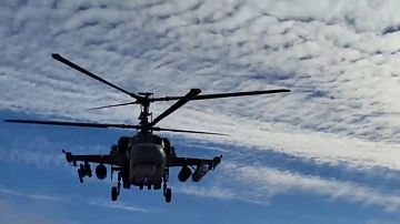 ������ �� 9 �����! ����� ������ �� ��� �� ���������: ���-3000 �� ��������� � ������ � �������