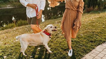 ���! � ������ ����� ������ ����� �� �����? ���� � ������� ������� �������