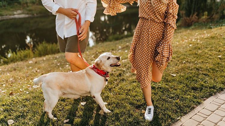 ���! � ������ ����� ������ ����� �� �����? ���� � ������� ������� �������