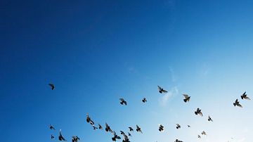 ���! ������ �������� ��������� �� ��� ������, ���� ������