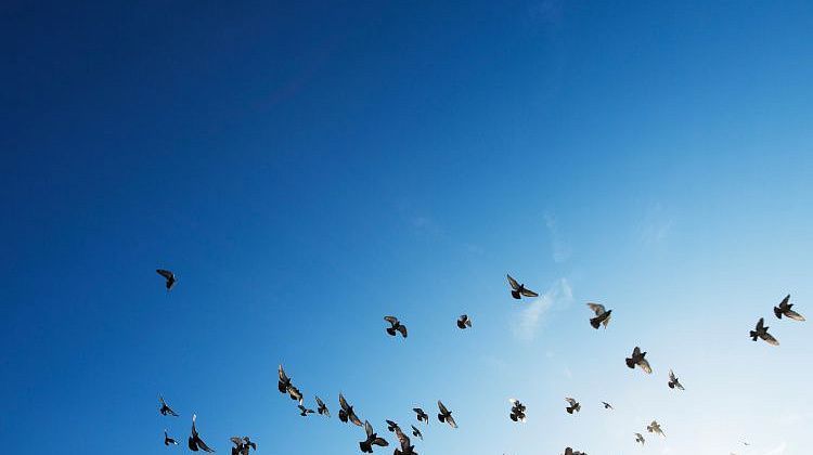 ���! ������ �������� ��������� �� ��� ������, ���� ������