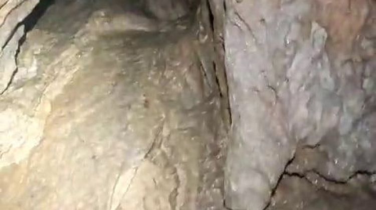 ���������� ����� � ��������� ���� ��� � ������ � ����: ������� � ����� �� ��������������
