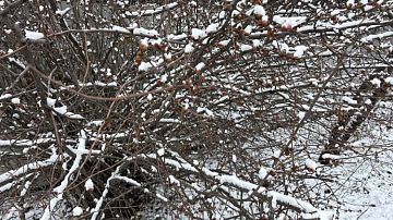 ���� �� �������� � ����� � ������: ���� ��������� � ����� ��������