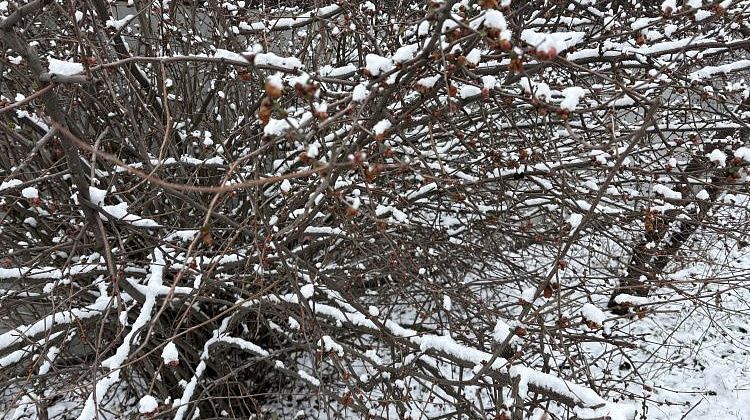 ���� �� �������� � ����� � ������: ���� ��������� � ����� ��������