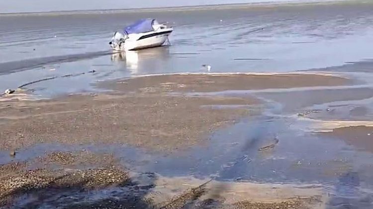 ������ ����� ������������ �������: ���� ������� ���� �� ����