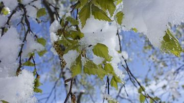 ������ ������ ��������� � ����� ������: ��������� � ������ �� ������ � ������