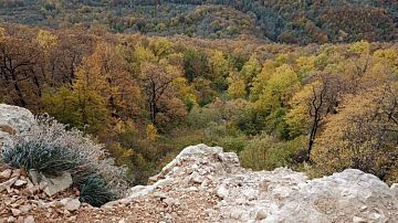 �������! ������ � ����� � ������� ����: ����������� ��������� ���������� ����������