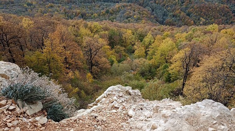 �������! ������ � ����� � ������� ����: ����������� ��������� ���������� ����������