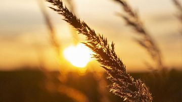 ������� ������ � �������� � �����: ��� �������� ����������� ����, ��������