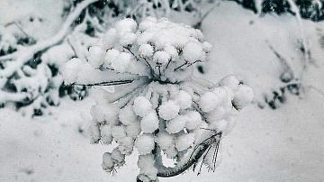 ��������� ���� ������� ��������! � ����� ������� ���������� ��������� 