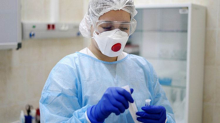 141 ����� ������ ��������� ������������� �� ������: ����� 30% - � ���������� 