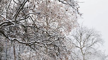 �� � ����! ������ ���������� �� ���, ���� ��� �����