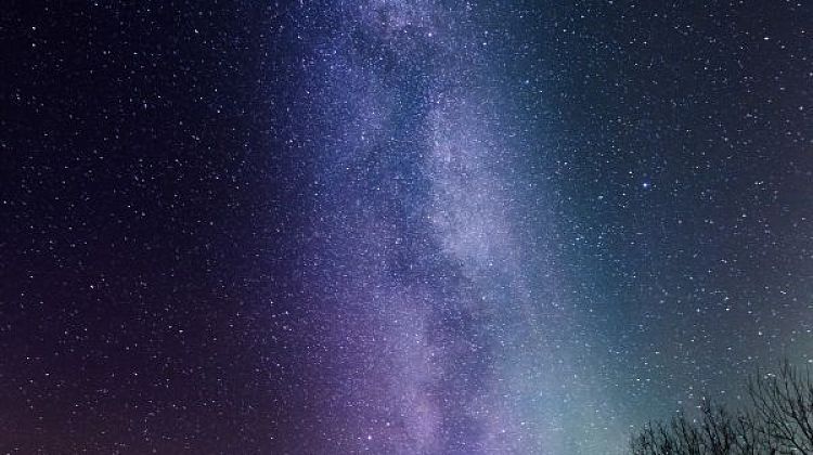   : -5 ,       