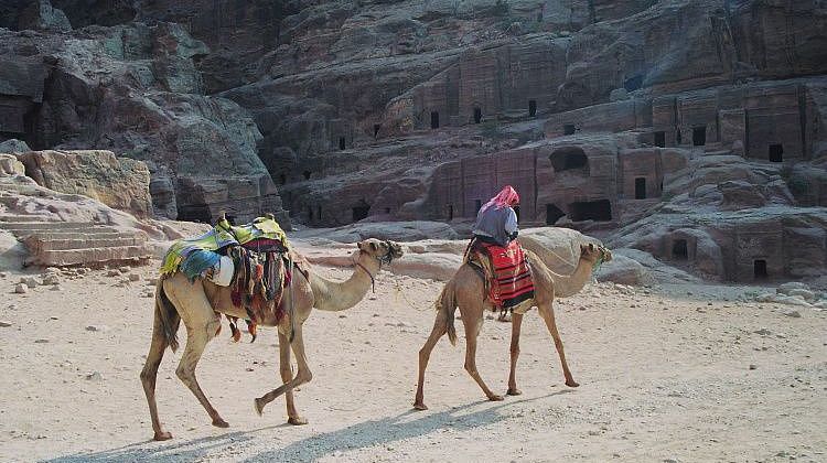 ����� ����� ��� ��������: ������ ��������� ���������� �����