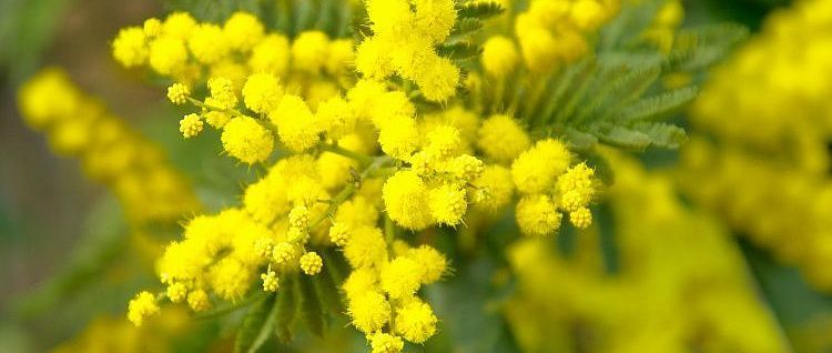 ������ �������� ������: ������ ��� ������ ����� � ��� ����� ��������