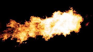 ����� �� �������: ����� ������� ���� � ������ � ������� ���������, �������� ���� �����