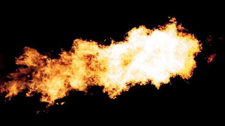 ����� �� �������: ����� ������� ���� � ������ � ������� ���������, �������� ���� �����