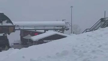 � ����� ���� ����� ����! ��������� ����������� - ���� ������������