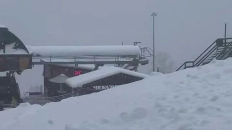 � ����� ���� ����� ����! ��������� ����������� - ���� ������������