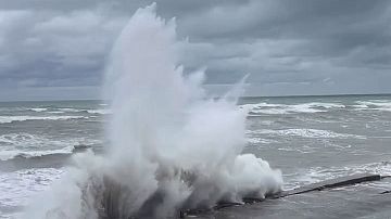 �����������, �����! ����� � ���� ������ ����� ������