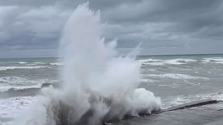 �����������, �����! ����� � ���� ������ ����� ������