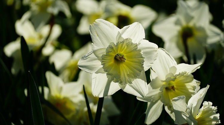 ����������! ������� �������� ����� ����� ������� �������� ����