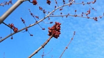 ������ ������������: ����� �� ���������� ��������� �����