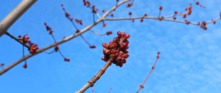 ������ ������������: ����� �� ���������� ��������� �����