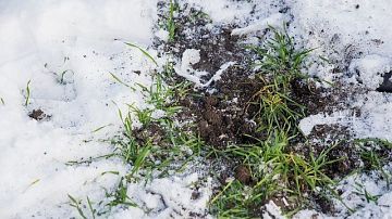 ������ ��������� ��� �� ������������? ������� ������� ������� ������� ���������