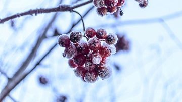 ������ ��� ������ ������� ����������: ������ ����, ������� ����� � ��������� ��������������