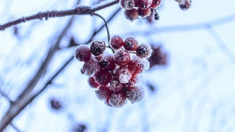 ������ ��� ������ ������� ����������: ������ ����, ������� ����� � ��������� ��������������