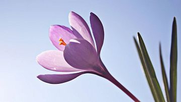 ����� ��� ��� � �����! ���� ��� �� ������ �� ������: ����� ������� ������ ���������� 