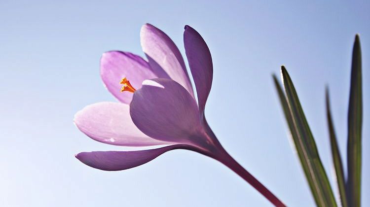 ����� ��� ��� � �����! ���� ��� �� ������ �� ������: ����� ������� ������ ���������� 