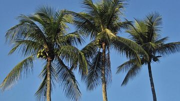 �� � �����! ������������ �������� ������ � ��������� ��� ������ ��� ������� 