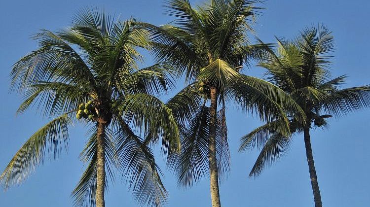 �� � �����! ������������ �������� ������ � ��������� ��� ������ ��� ������� 