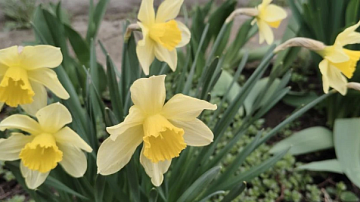 ��� ��� - 21 � ���� �� 10: �������������� �������� ������ �� ����� ����� � � ���� �� ��������