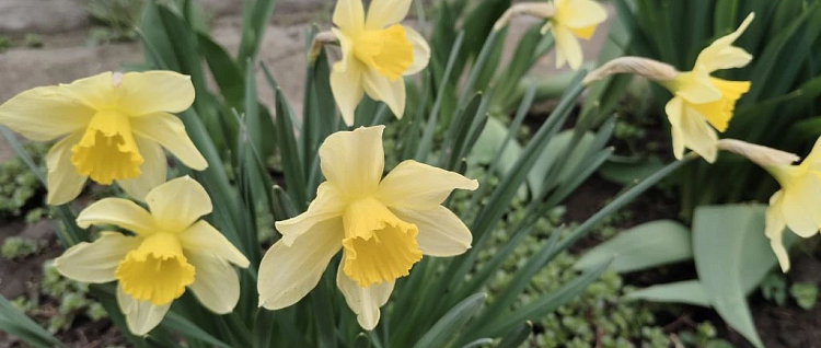 ��� ��� - 21 � ���� �� 10: �������������� �������� ������ �� ����� ����� � � ���� �� ��������