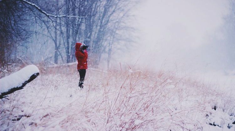 ��������, ��� ������� ������� ����� ����� ��������� - �� ���������� �� ����� ��������������