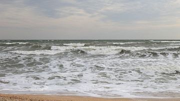 ������ ����� ������� ��������� ��������� ��������� ����: ��� ��������, ������ �� ��������